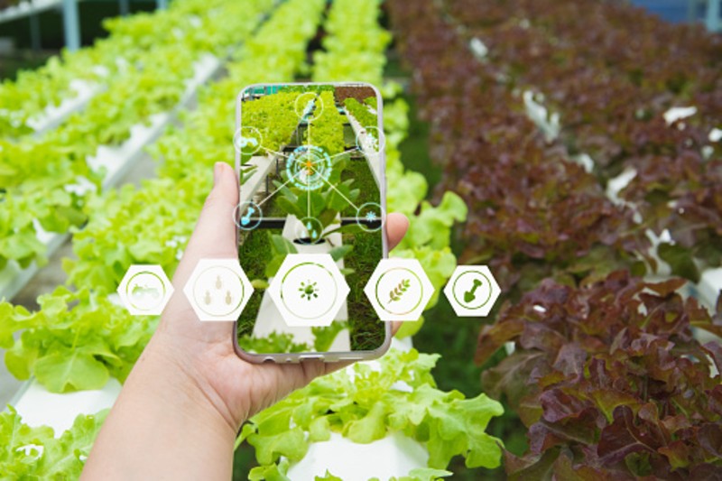 How to Build Buyer Confidence Through Traceability and Transparency